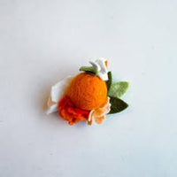 Orange Blossom Single Gemini