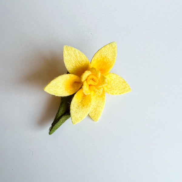 Mini Yellow Daffodil Enola