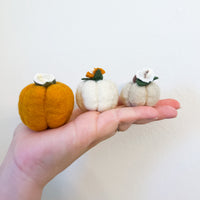 Single Simple Pumpkins