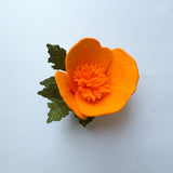 California Poppy Enola